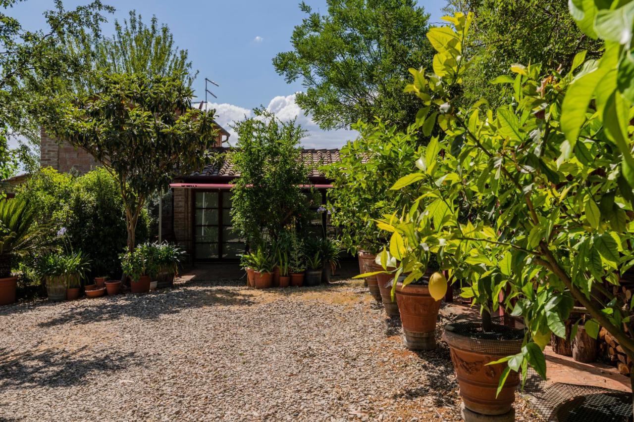 Casa Vignacce Βίλα Marciano della Chiana Εξωτερικό φωτογραφία