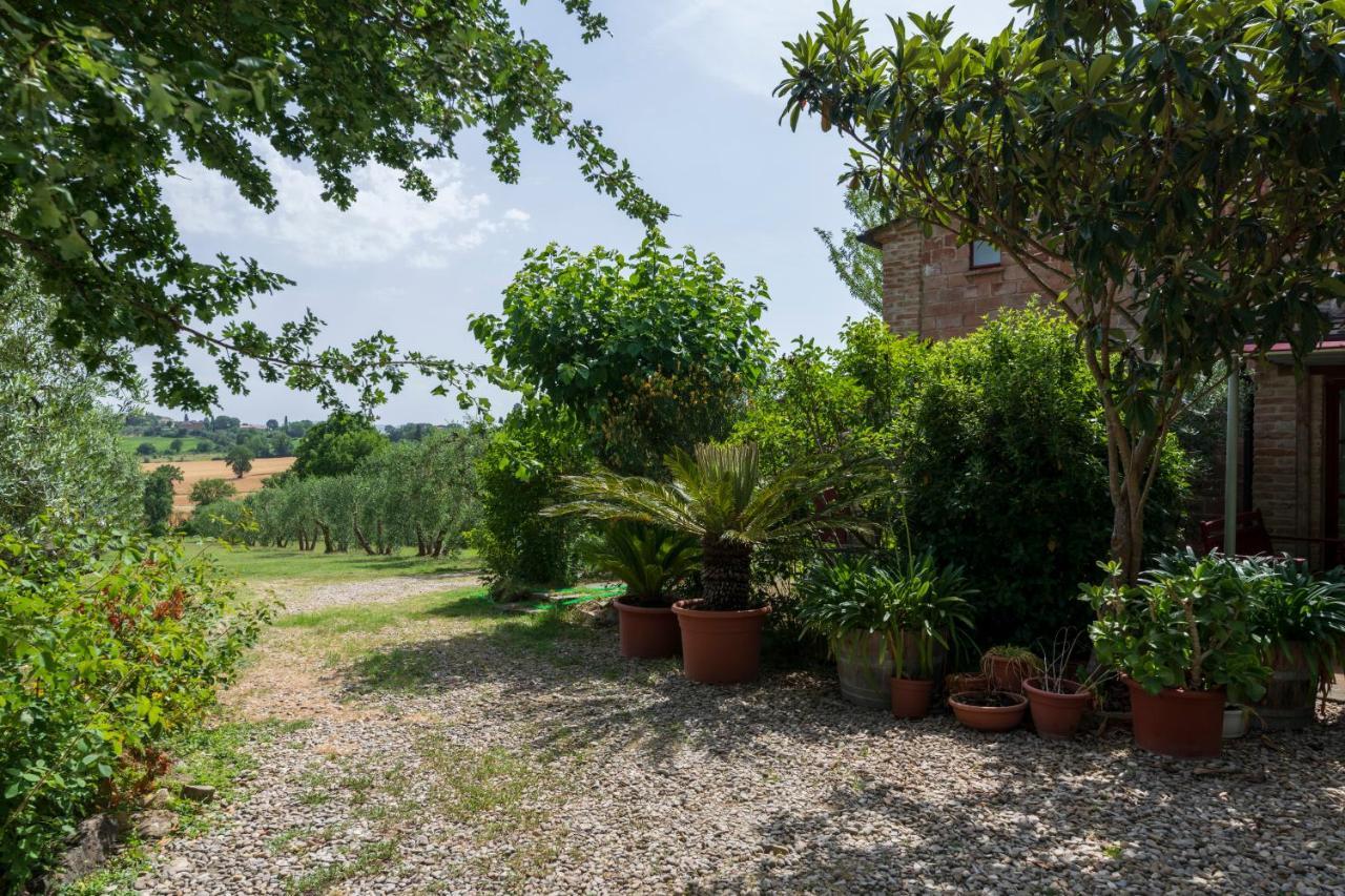 Casa Vignacce Βίλα Marciano della Chiana Εξωτερικό φωτογραφία