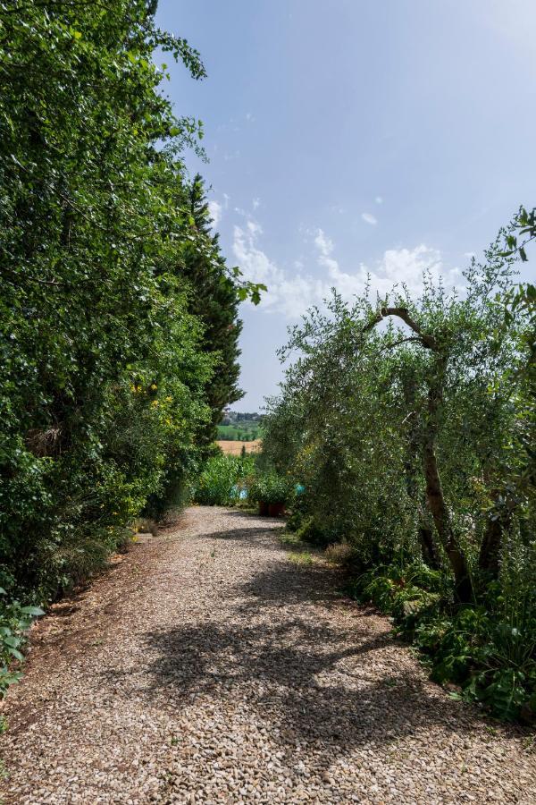 Casa Vignacce Βίλα Marciano della Chiana Εξωτερικό φωτογραφία